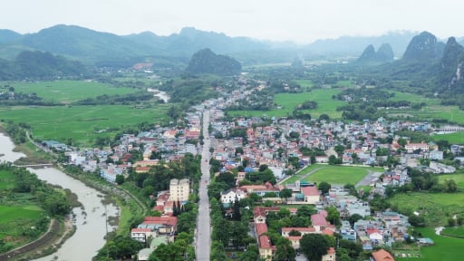 Mang đặc sản xuất ngoại, nông dân một huyện của tỉnh Hòa Bình có thu nhập khá, nhiều hộ giàu lên