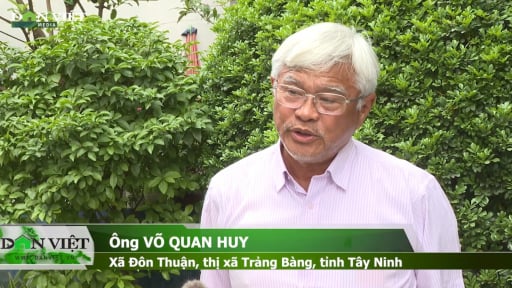 Tâm sự của 'vua chuối' Út Huy khi gửi tâm thư về vườn chuối 88ha đầy tâm huyết ở Tây Ninh
