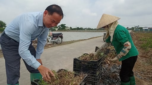 Hải Phòng, Hải Dương sáp nhập, một tỷ phú nông dân trồng hoa 'đón cơ hội vàng, cả làng cùng khá giả'