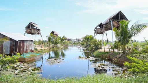 Làm chuồng kỳ lạ, nuôi con thú bay như chim hoang dã ở Kiên Giang, lạ hơn là chả phải cho ăn, chỉ hứng lấy phân