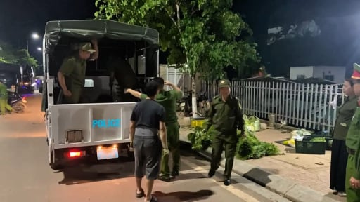 Sơn La: Phát hiện số lượng lớn rau củ dương tính với chất độc hại