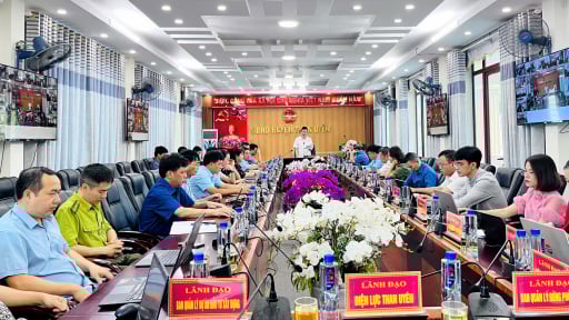 Than Uyên: Tập trung chăm sóc và bảo vệ diện tích chè, rừng đã trồng