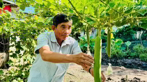 Chi hội nông dân nghề nghiệp, nơi đồng bào Khmer ở Cần Thơ giúp nhau thoát nghèo, làm giàu