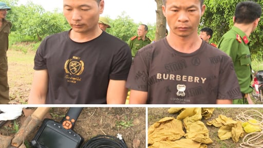 Chân dung 2 người Trung Quốc đào trộm mộ Vua Lê Túc Tông