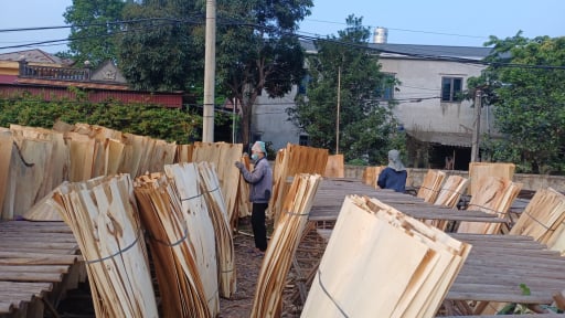 Một xã miền núi ở Thái Nguyên phát triển kinh tế rừng, tạo việc làm, tăng thu nhập cho người dân