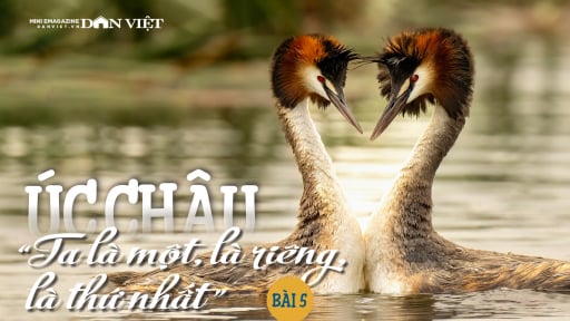 Úc châu, “Ta là một, là riêng, là thứ nhất”: Vẻ đẹp quyền quý và mật mã của tình mẫu tử (Bài 5)