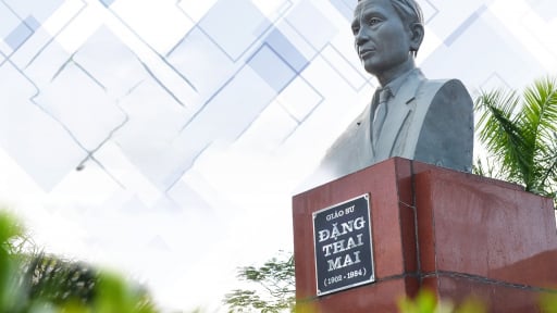 Nhà văn duy nhất lịch sử văn chương Việt Nam là bố vợ của 3 vị Tướng lừng danh