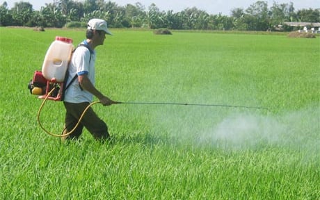  Nông dân Hải Phòng xuống đồng phòng diệt trừ sâu cuốn lá nhỏ, bệnh đạo ôn trên lúa xuân
