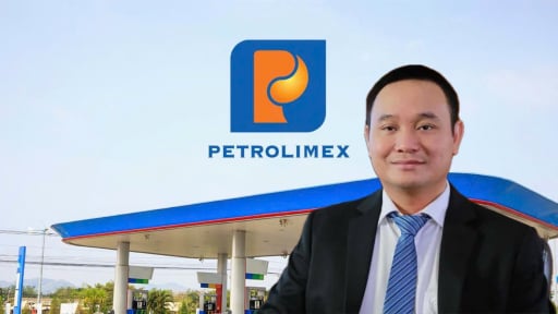 Petrolimex kinh doanh ra sao dưới thời ông Đào Nam Hải?