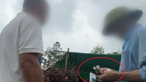 Lập chợ trái phép “thu phế” ở Bắc Ninh: Dấu hiệu cưỡng đoạt tài sản