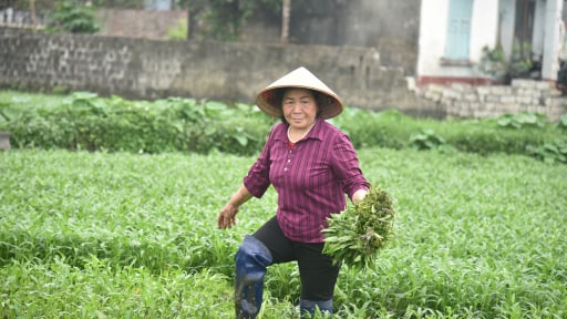 Chi hội trưởng nông dân U70 ở Quảng Ninh vừa lội ruộng vừa tuyên truyền công tác Hội cho hội viên