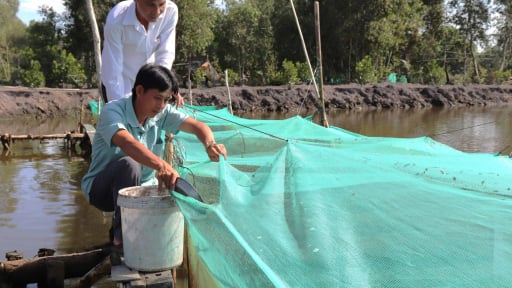 Trước khi sáp nhập với tỉnh Long An, một thị xã '5 tuổi' của Tây Ninh đủ điều kiện là thị xã nông thôn mới