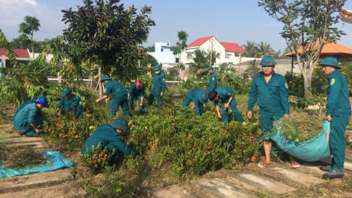 Bộ Công an yêu cầu Long An cung cấp hồ sơ 36 dự án cây xanh liên quan đến Công ty Công Minh