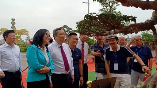 Hàng trăm nhà vườn tụ hội tại Festival Hoa – Cây cảnh VNUA 2025: Bước chuyển mình của ngành nông nghiệp sáng tạo