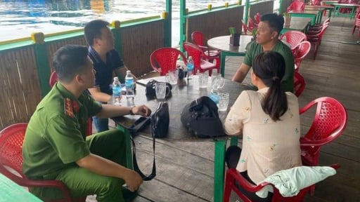 Phát hiện một nhà hàng ở Nha Trang có 21 con ốc tù và quý hiếm, ngành chức năng vận động thả ra biển 