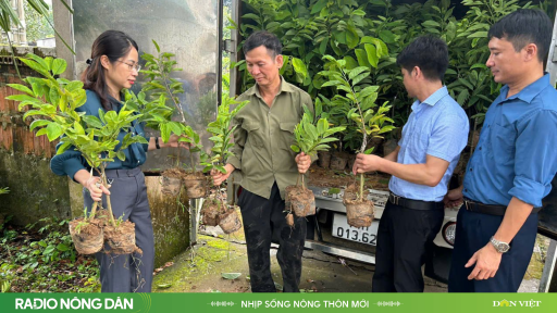 Nhịp sống nông thôn mới ngày 12/5/2025