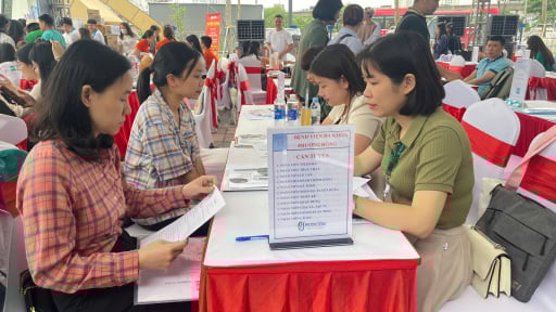 Hà Nội: Thời tiết không thuận lợi, hàng nghìn lao động vẫn tới ngày hội, tìm cơ hội việc làm 
