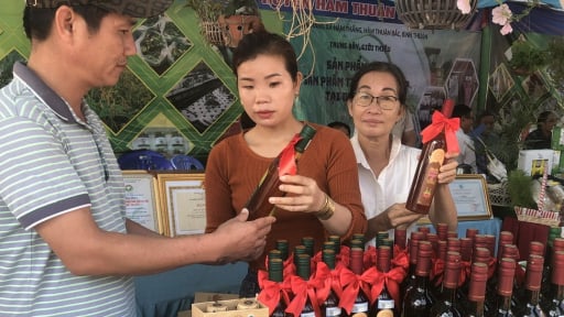 Trước khi sáp nhập tỉnh, một sở ở Bình Thuận ban hành kế hoạch tổ chức đưa hàng Việt lên miền núi