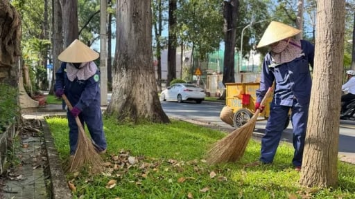 Trước khi sáp nhập Bến Tre, Vĩnh Long, Trà Vinh, đây là thành phố la liệt cây cổ thụ ở miền Tây