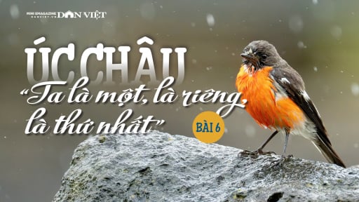 Úc châu, “Ta là một, là riêng, là thứ nhất”: “Sân khấu tạp kỹ” của những gã phong tình (Bài 6)