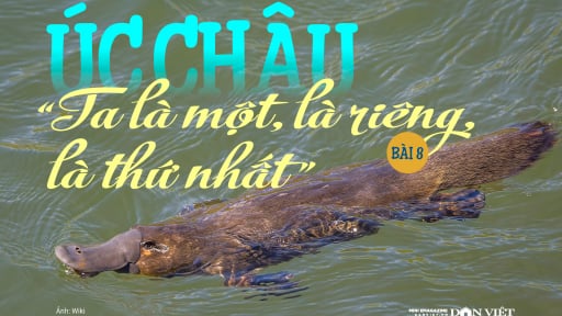 Úc châu, “Ta là một, là riêng, là thứ nhất”: “Quái thú” gây tranh cãi “sứt đầu mẻ trán” (Bài 8)