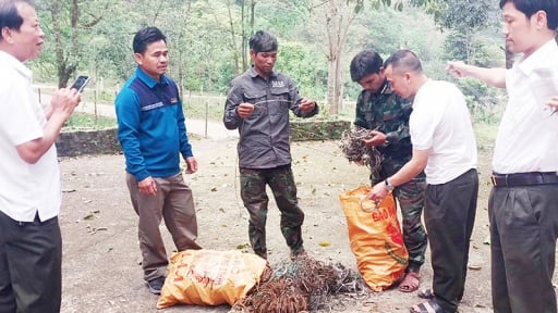 Khu rừng 37.000 ha ở Quảng Trị có động vật hoang dã nằm trong sách Đỏ, bọn thợ săn dùng 2 loại bẫy 'dã man' để bắt loài thú
