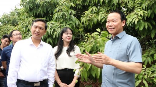Bộ trưởng Bộ Nông nghiệp và Môi trường Đỗ Đức Duy cùng Chủ tịch UBND tỉnh Bắc Giang Nguyễn Việt Oanh họp bàn giải pháp tiêu thụ vải thiều