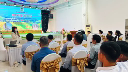 Lào Cai: Nâng cao kỹ năng kinh doanh trên nền tảng số, phát triển thương hiệu nông sản