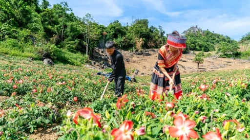 Thái Nguyên: Huyện Đồng Hỷ giảm mạnh tỷ lệ hộ nghèo, nhiều mô hình kinh tế giúp dân đổi đời