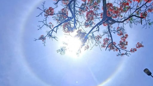 Thái Nguyên: Xuất hiện quầng mặt trời 'lạ mắt', người dân thích thú ghi hình