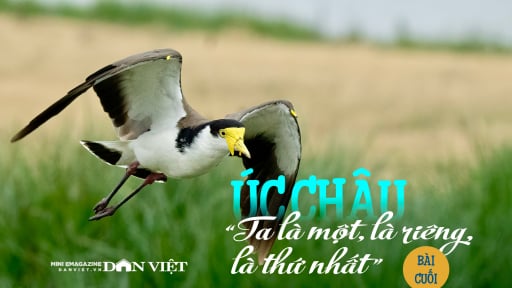 Úc châu, “Ta là một, là riêng, là thứ nhất”: Vòng quay của sự tử tế (Bài cuối)