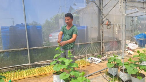 Bỏ phố về vườn trồng dưa, trồng nho công nghệ cao, anh nông dân Thái Nguyên khiến cả làng nể phục