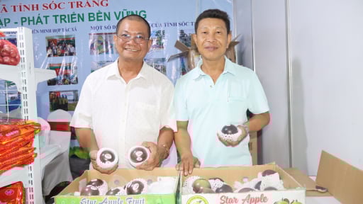 Xuất khẩu thứ quả đặc sản sang Mỹ, một HTX ở Sóc Trăng thu lợi nhuận cao, xã viên thoát nghèo nhanh
