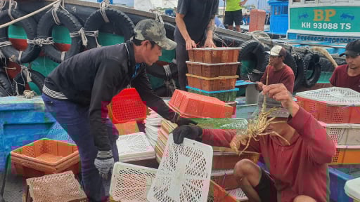 Khánh Hòa: Các mô hình sản xuất kinh doanh ở Cam Ranh sử dụng vốn Quỹ Hỗ trợ nông dân đang phát huy hiệu quả