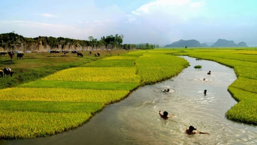 Dưới lòng đất ở một xã của Thanh Hóa dần lộ diện một kinh đô cổ xưa có lối kiến trúc đồ sộ