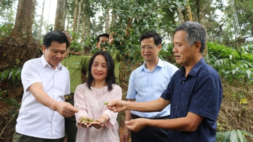 Hội Nông dân Lào Cai tham gia giám sát thực hiện chương trình xây dựng nông thôn mới và giảm nghèo bền vững