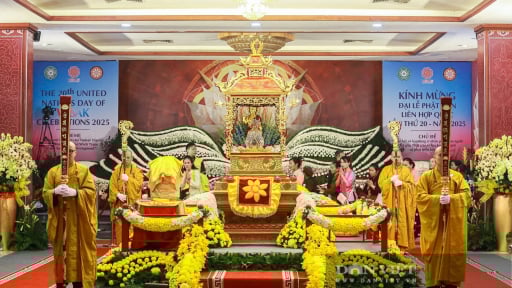 Chiêm bái xá lợi Phật tại chùa Quán Sứ: Hành trình tâm linh giữa lòng Hà Nội