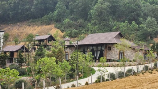 Chủ tịch Hà Nội chỉ đạo kiểm tra, xử lý việc lấn chiếm đất rừng tại huyện Thạch Thất