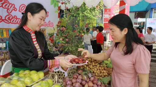 'Lộc' trên đất dốc Sơn La