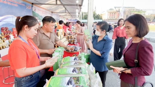 Liên kết vùng trong thương mại điện tử “chìa khóa” nâng tầm sản phẩm OCOP Lai Châu