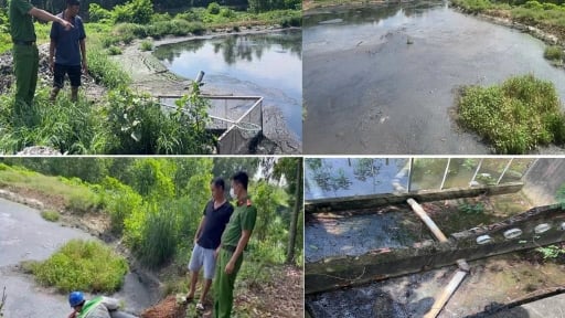 Trước khi sáp nhập với Bình Phước, tỉnh Đồng Nai liên tục chỉ đạo xử lý vi phạm môi trường 'không có vùng cấm, không có ngoại lệ'