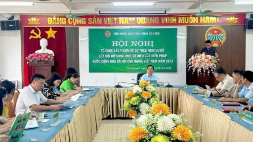 Nông dân Thái Nguyên nhất trí cao với phương án tinh gọn bộ máy, giữ nguyên tên Hội Nông dân Việt Nam
