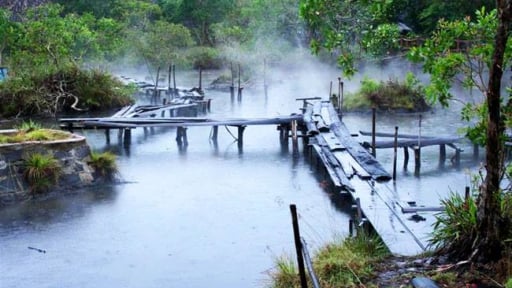 Sáp nhập Bà Rịa-Vũng Tàu, Bình Dương, TP HCM có một khu rừng nguyên sinh tốt um, suối nước nóng phun trào, người ta đang đến xem