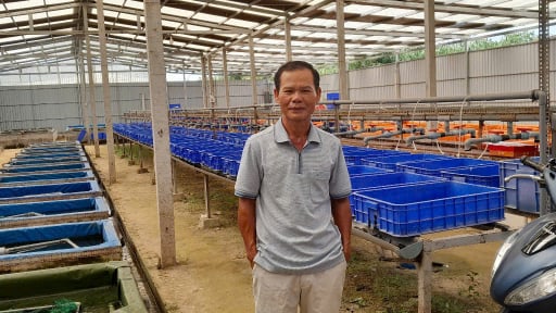 Một tỷ phú Tây Ninh phất lên nhờ nuôi con đặc sản dày đặc kiểu tuần hoàn, cả làng phục lăn