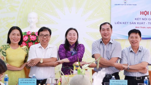 Trước khi sáp nhập tỉnh, 2 ngành này của Bình Thuận, Quảng Trị kết nối sản xuất, tiêu thụ đặc sản OCOP, sản phẩm VietGAP
