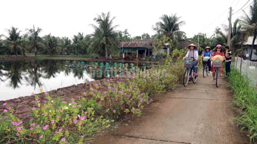 Trước khi sáp nhập Vĩnh Long, Bến Tre, tỉnh Trà Vinh có bước đột phá về một ngành kinh tế