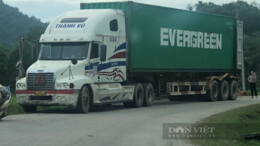 Cựu Đội trưởng, đội phó của Chi cục Hải quan nhận hối lộ để làm ngơ cho doanh nghiệp xuất lậu hàng nghìn tỷ đồng