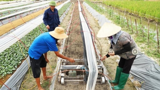 Mới học hết lớp 7, một nông dân sáng chế máy nông nghiệp ở Hải Dương khiến cả làng phục lăn