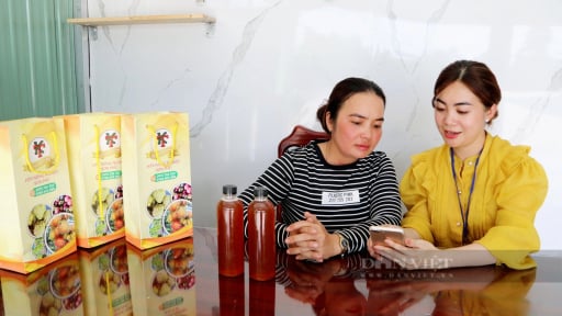 Xây dựng nông thôn mới ở Hậu Giang:  Gắn kết OCOP để phát triển bền vững