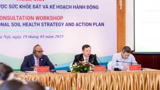 Việt Nam có 5,1 triệu diện tích đất nông nghiệp bị thoái hóa